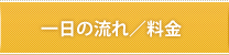 一日の流れ/料金